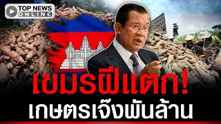 Download Lagu เกษตรเขมรเจ๊งพันล้าน! \ MP3