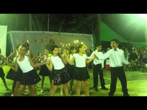 Apresentação dia das