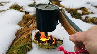 Fungus Stove, Birch Polypore