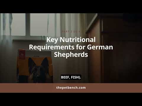 Watch: Best Dog Food for German Shepherds: 5 Nutrition-Backed Picks