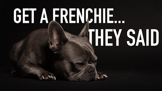 Get a Frenchie They Said ...Here's Why You Should Get A French Bulldog by My Pawesome Frenchie 9,433 views 3 years ago 10 minutes, 50 seconds
