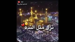 حالات واتساب😔استشهاد موسى إبن جعفر الكاظم💔 باسم الكربلائي ستوريات انستا نغمة رنين حزينه 2021