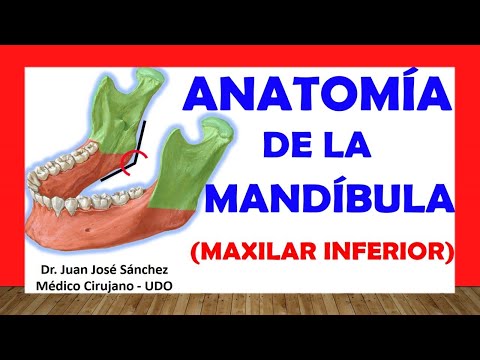 Vídeo: Maxilar: Anatomía ósea, Función Y Procedimientos Quirúrgicos