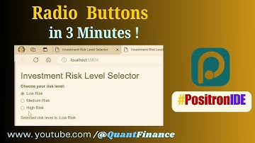 Create Radio Button Options in 3 Minutes (Positron: Next-Gen IDE for Python and R