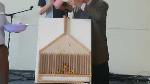 Binomial Probability Demonstration (Galton Board)