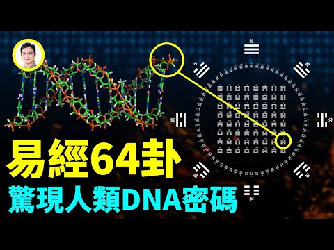 《易经》包含人类全套遗传密码？六爻对上三联体密码！揭开世纪谜题【文昭思绪飞扬173期】