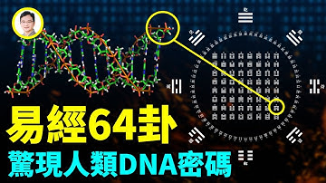 《易經》包含人類全套遺傳密碼？六爻對上基因三聯體密碼！揭開世紀謎題【文昭思緒飛揚173期】