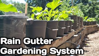 Rain Gutter Garden System-Full Guide With Tips and Hacks