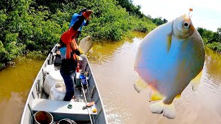 Palometas tan grandes que rompen todos los anzuelos! 2 día de pesca en el rio Cravo.