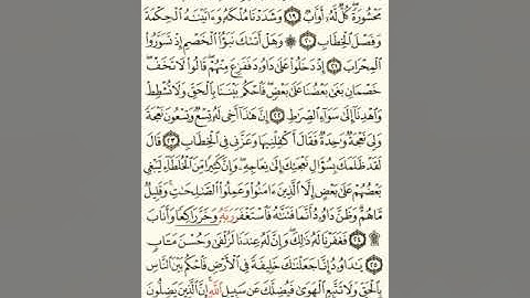 ماهر المعيقلي سورة ص مكتوبة صفحة 454 مصحف المدينة المنورة جودة عالية