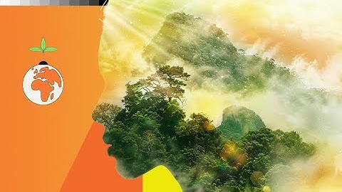 ALSO & Microsoft: Tech That Supports Nonprofits