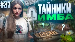 картинка: ТАЙНИКИ ИМБА! 100К ЗА 20 МИНУТ В GTA 5 RP MAJESTIC ПУТЬ НОВИЧКА #37