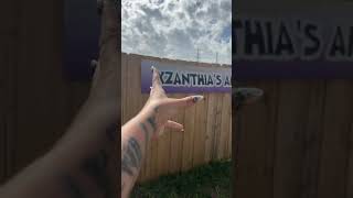 LinkTree.com/XZanthia