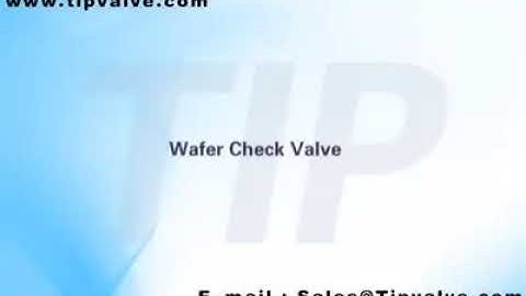 Industrial Instruments with 3D modeling Wafer check valve