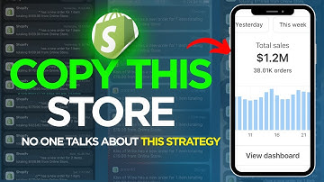 Million Dollar Dropshipping Store - Copy Their Simple Strategy For Free