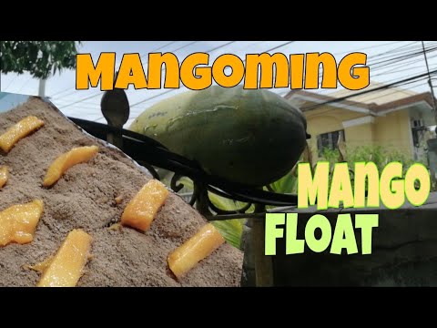 Easy Mango Float / Using One Mango /Mangoming Big Variety of  Mango