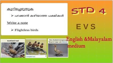 Victers channel std 4 EVS activities 28/10/2020