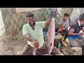 FAST VANJARAM / SEER FISH CUTTING VIDEOS | FISH CUTTING SKILLSKASIMEDU | UK &amp; SONS MARINE
