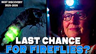 She Revolutionized Firefly Science, and It Might Just Save them.....