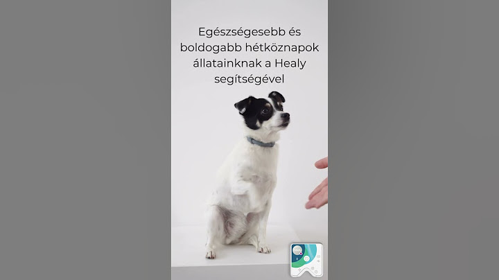 Healy Animal kedvenceink számára🐶 Az egészség és a boldog hétköznapok támogatásáért🤩