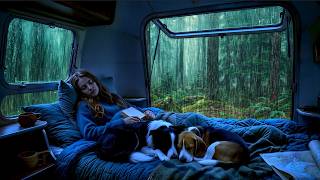 Heavy Rain on Car Roof: Fall Asleep in 3 Minutes with These Soothing Rain Sounds! 🌧️⛈️