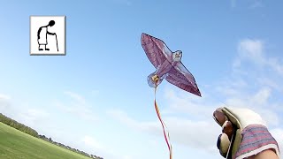 Bird shaped kites Part 2 LIDL 191008