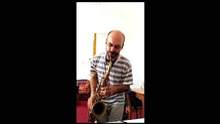 Video thumbnail of "DIY - FX Saxophone"