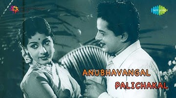 Anubhavangal Paalichakal  | Agniparvatham Pukanju song