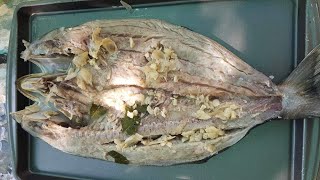 DAING NA ISDA / MARINATED FISH( Bluefish )♨︎MsKitchen♨︎【Vlog#286】