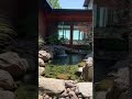 Japanese style pond in Modern Landscaping