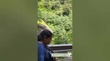 Bhole Shankar | Kedarnath Trek View | Hansraj Raghuwanshi || #kedarnath #hansrajraghuwanshi #dev