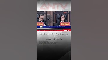 Hôm nay, xét xử phúc thẩm bị cáo Trịnh Văn Quyết cùng các em gái #antv #shorts #FLC