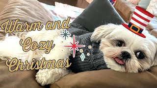 Chase the Shih Tzu Celebrates Christmas with Loona and Yogi | Christmas 2022 by Chase the Shih Tzu 1,638 views 1 year ago 3 minutes, 13 seconds