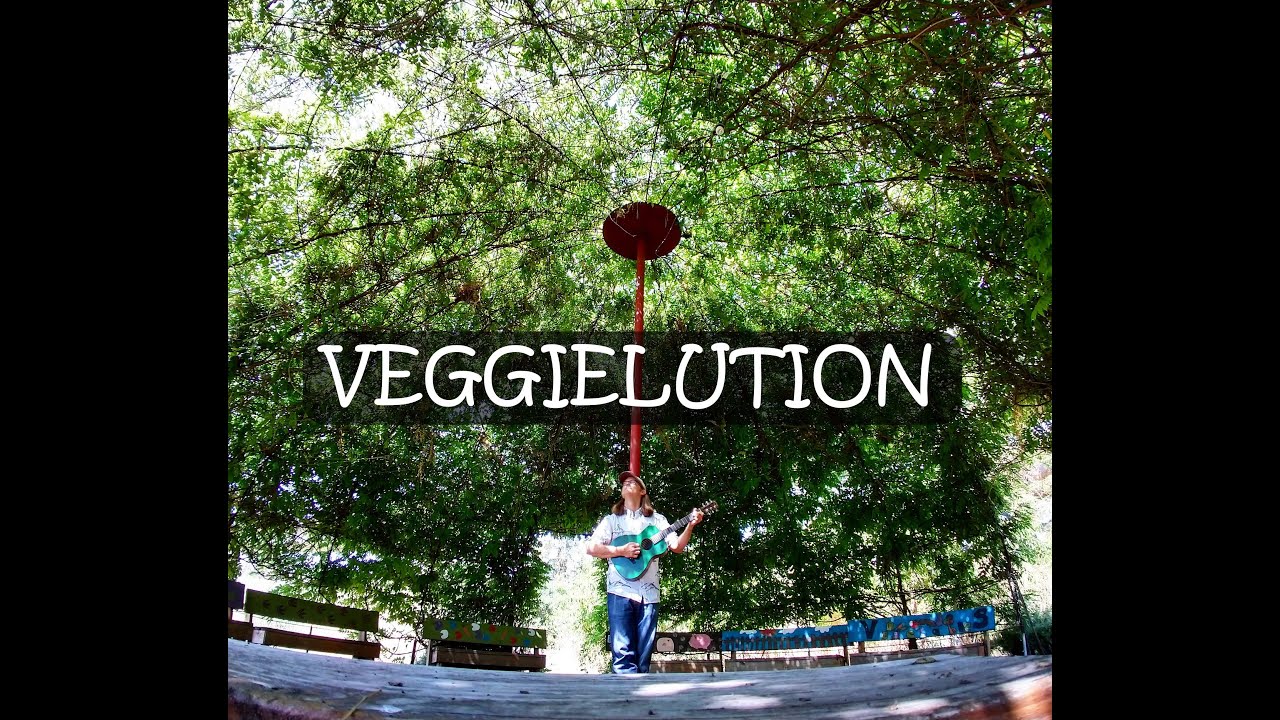 Veggielution - by Martin and the Green Guitar - YouTube
