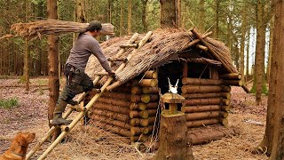 Building A Wilderness Log Cabin with a thatched roof | Cedar | Dog