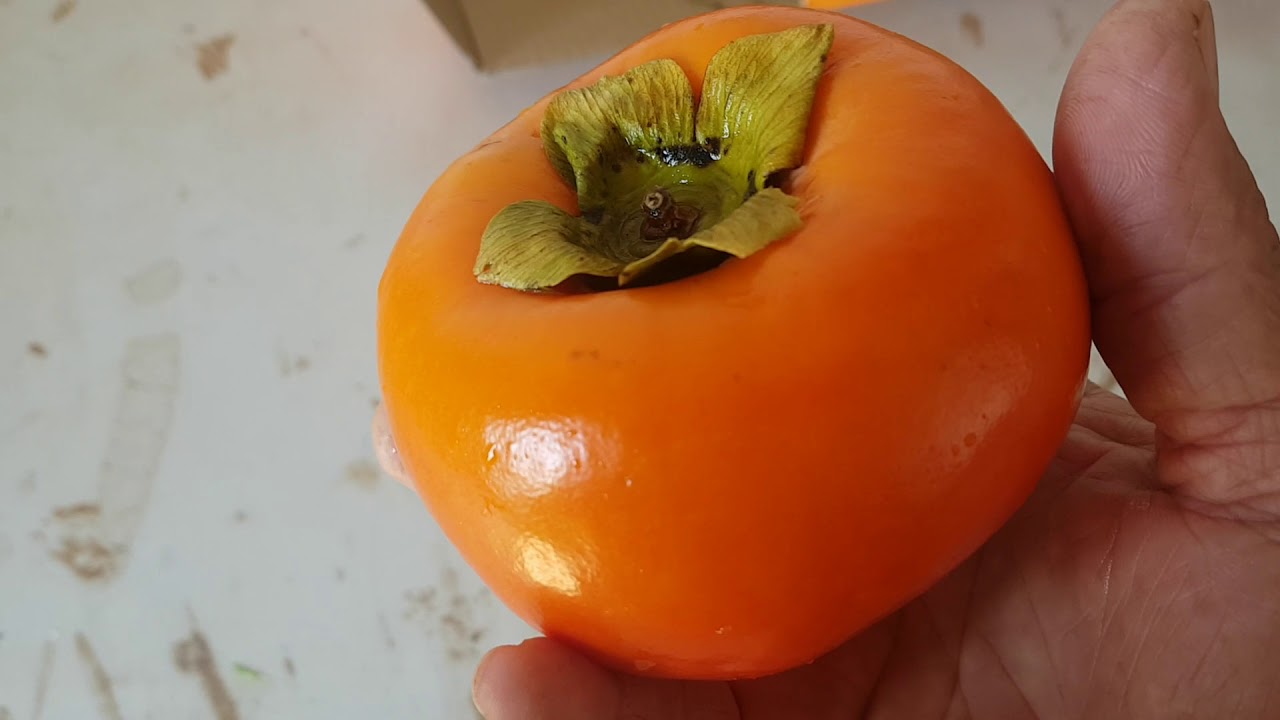 Como madurar kaki persimmon