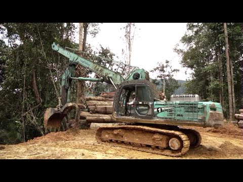 Reduced Impact Logging(RIL) using Logfisher by Asrama Raya / Forestry Department Peninsular Malaysia