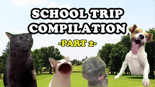 SCHOOL TRIP COMPILATION PART 2 - Cat memes #cat #catmemes