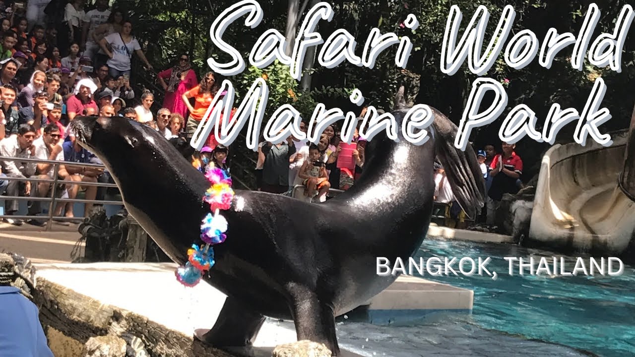 Crazy Animals In Safari World Marine Park 4K Full Tour Family crazy-animals-in-safari-world-marine-park-4k-full-tour-family