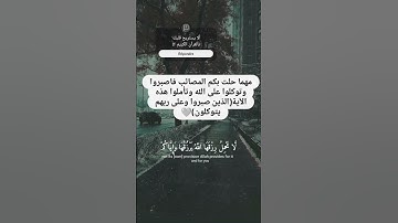 أكتب شيء تؤجر عليه🌷#القارئ #عبدالرحمن_مسعد #quran