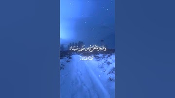 سورة المؤمنون #quran #تلاوة_خاشعة #قرآن #تلاوة_هادئة #محمد_اللحيدان #قران_كريم