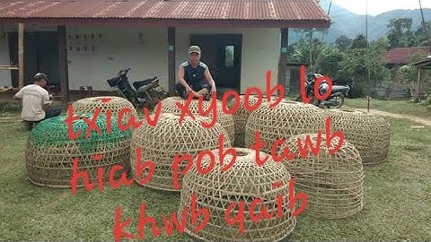 mu txiav xyoob lo hiab pob tawb khwb qaib