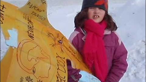 RCDOX 2011 NEURON TANGO crash then inflight ESC fire RC plane