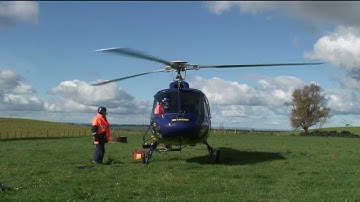 Helicopter stringing