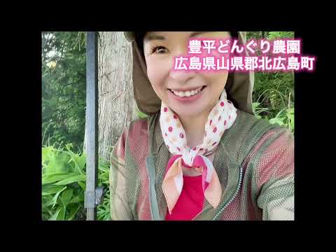 豊平どんぐり農園の紹介動画サムネイル