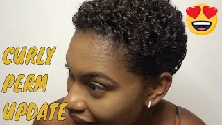 UPDATED DRY CURL/WAVE NOUVEAU ON SHORT TAPERED TWA/ CURLY PERM ON NATURAL HAIR🔥🔥🔥| JAMAICAN YOUTUBER