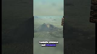 🌋 Misterios de Virunga  El Santuario que Desafía al Tiempo y al Conflicto 🦍