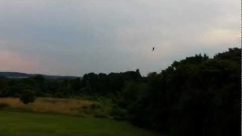 MCPX_V1_Spin 16300kv