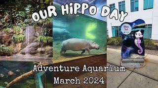 Oceanic Delights: Our Adventure Aquarium Experience by 125 Roller Coaster Challenge 69 views 1 month ago 8 minutes, 52 seconds