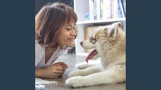 Simplistic Backdrops for Creative Doggy
